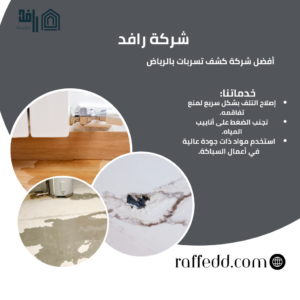 شركة كشف تسريبات